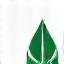 Leaf icon representing sustainable practices